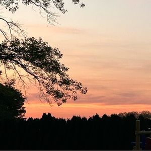 Meet your Posher, Alison